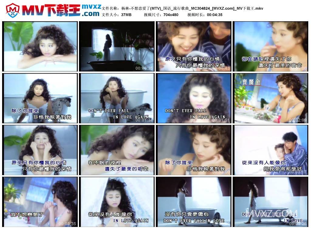 杨林-不想恋爱了(MTV)_国语_流行歌曲_MC304824